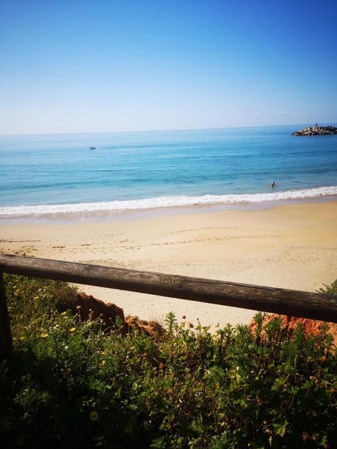 Mirador De Trafalgar Conil Conil De La Frontera Dış mekan fotoğraf